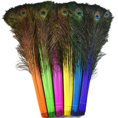 dyed 110cm peacock feathers for sale